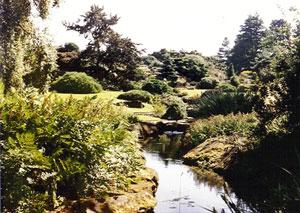 Królewski Ogród Botaniczny w Edynburgu